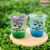 In ly nhựa đáy bầu 500ml Biên Hòa, Đồng Nai