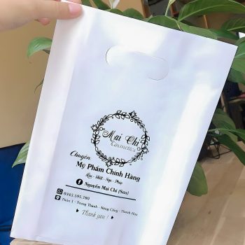 Xưởng in úi nilon hột xoài PE theo yêu cầu