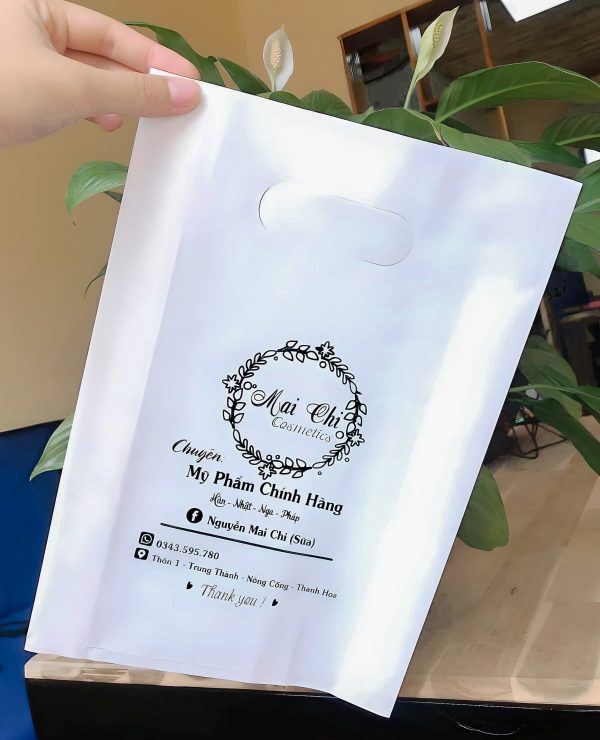 Xưởng in úi nilon hột xoài PE theo yêu cầu